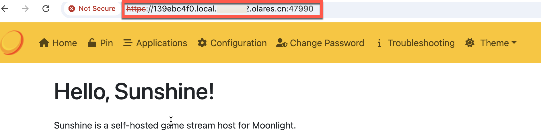 Sunshine console page